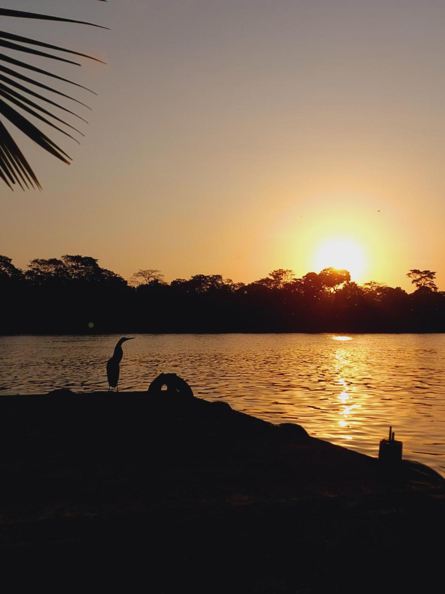 Chinitas Eco Lodge Tortuguero Bagian luar foto