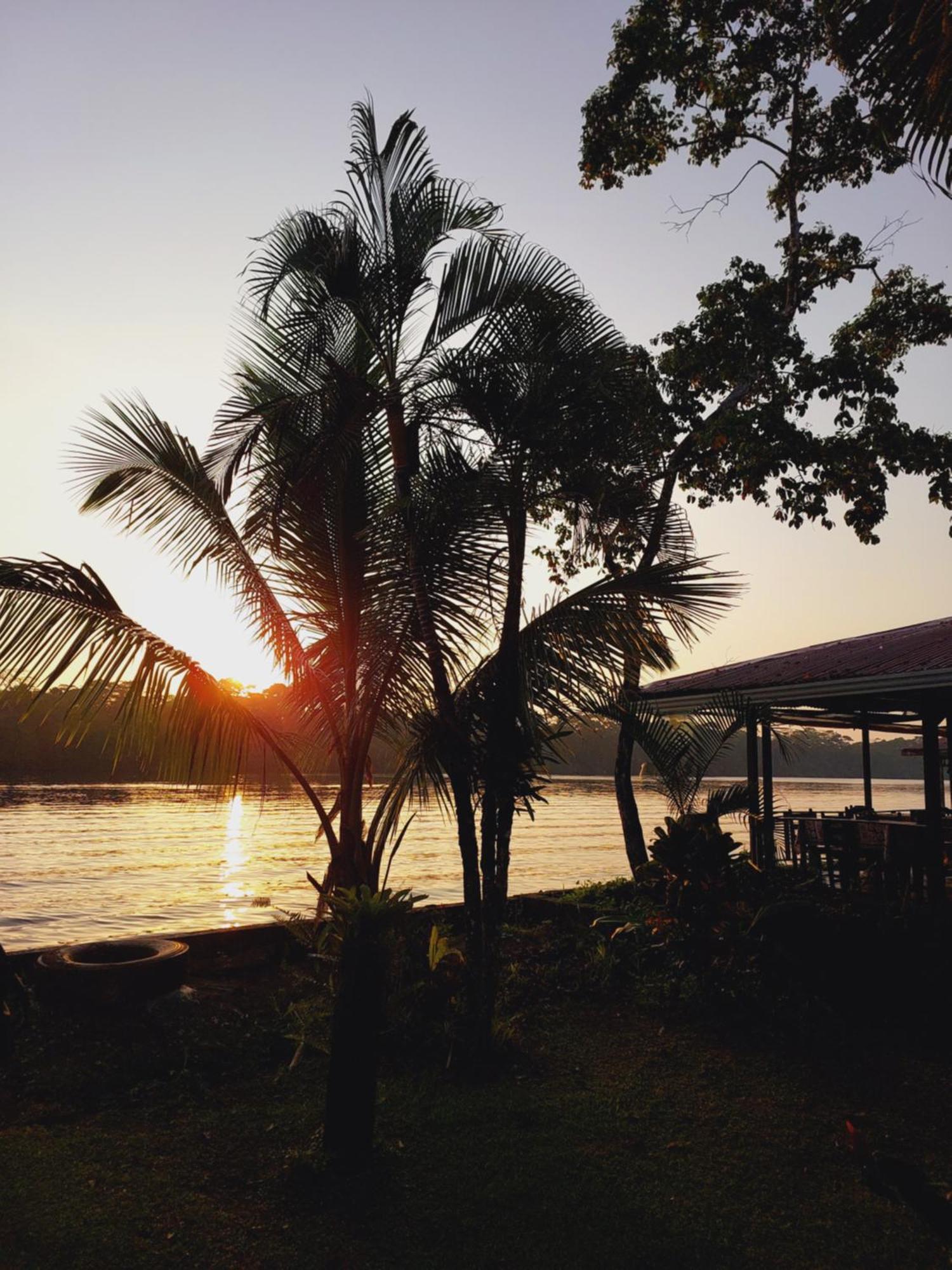 Chinitas Eco Lodge Tortuguero Bagian luar foto