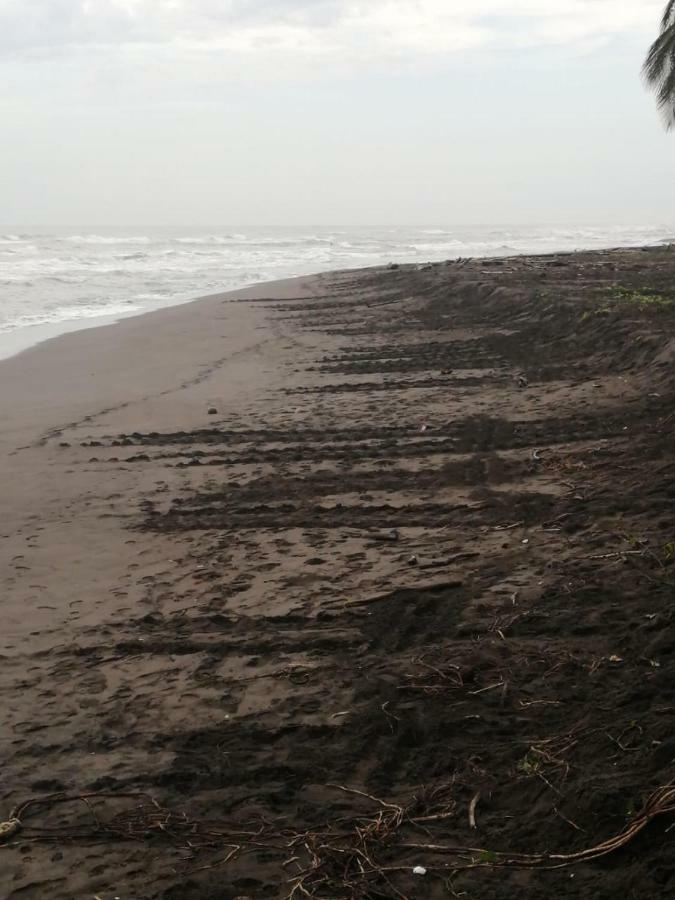 Chinitas Eco Lodge Tortuguero Bagian luar foto